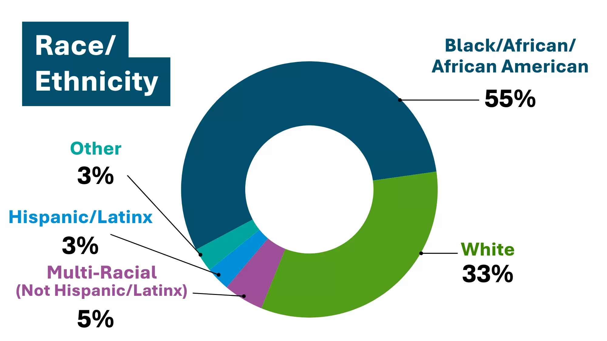 The pie chart breaks down who was experiencing homelessness by race. Black/ African American/African: 55% White: 33% Multi-racial (Not Hispanic/Latinx): 5% Hispanic/Latinx: 3% Other 3%.